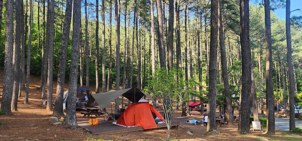 복잡한 도시 벗어나 ‘트래블 라운징’… 광양에서 찾는 쉼의 미학