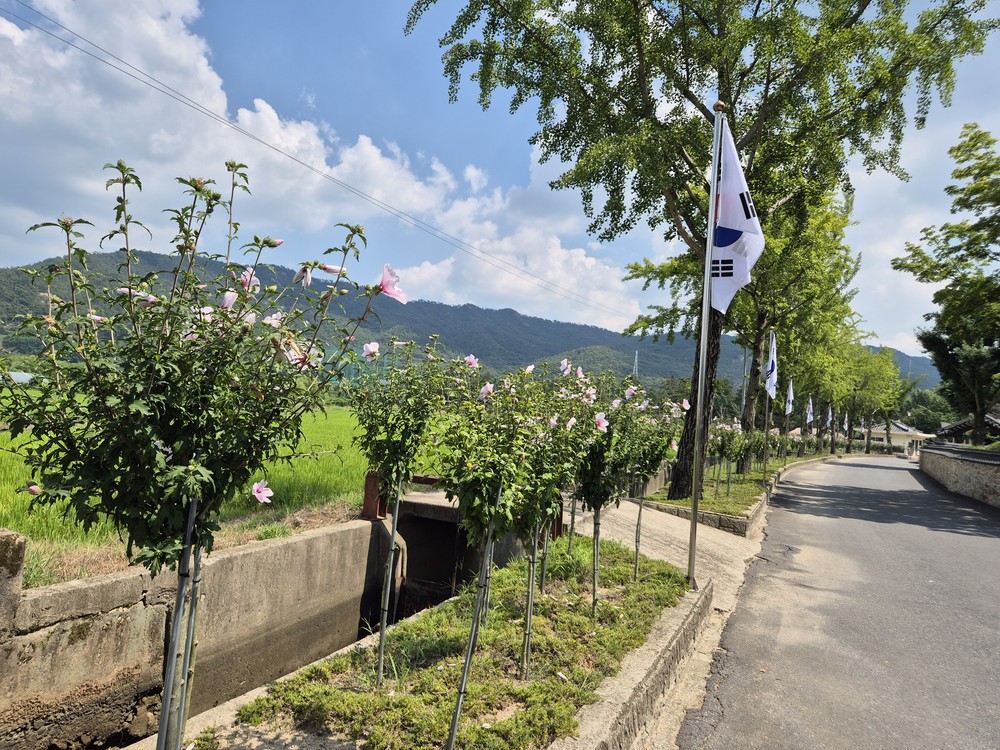 예산군, 매헌 무궁화동산 ‘나라꽃 무궁화’ 명소 선정