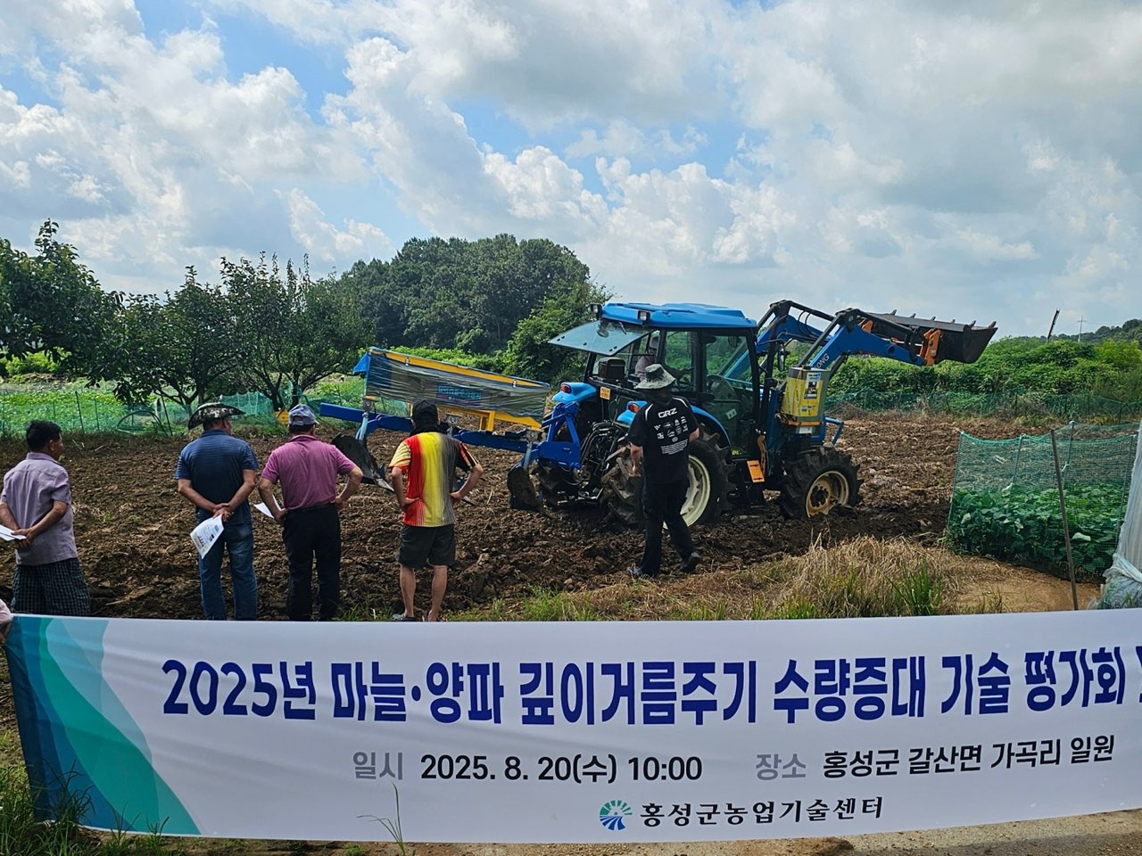 홍성군, 신기술로 마늘·양파 생산성 높인다