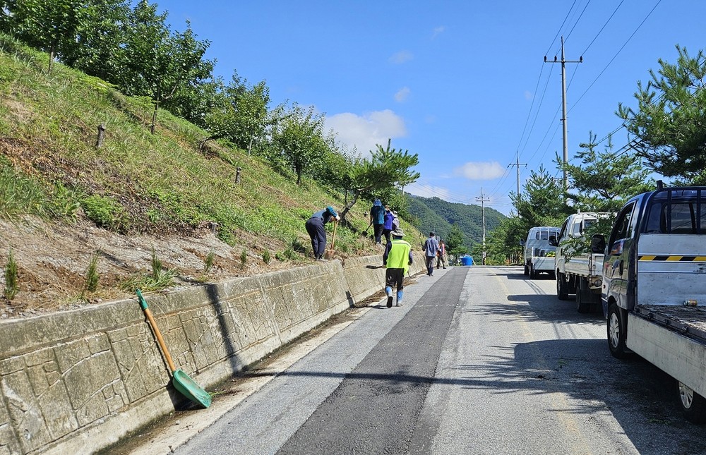 도산면 가송리 주민 손으로 만든 푸른 진입로