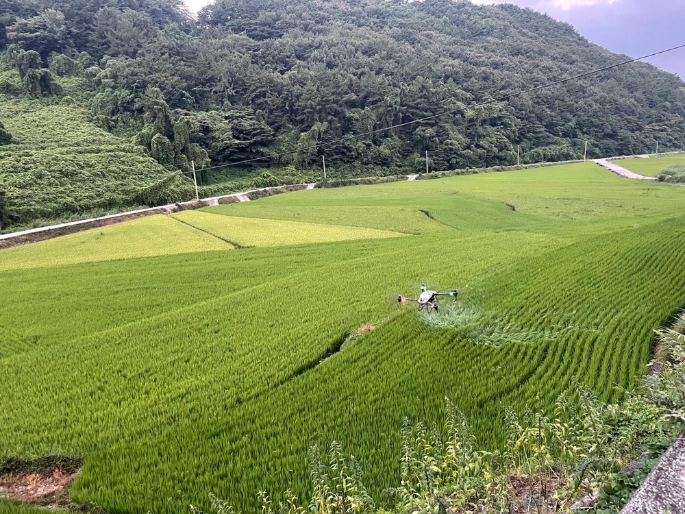 남해군 서면행정복지센터, 공동 항공방제로 벼 병해충 조기 예방