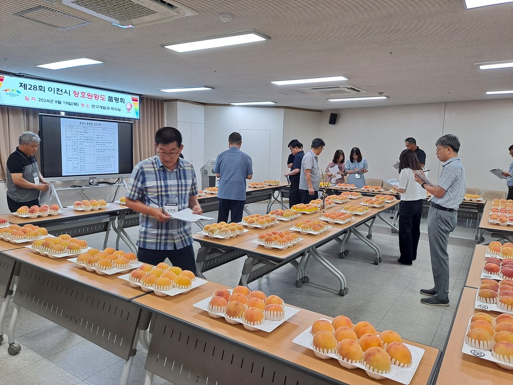 제29회 이천시 장호원황도 품평회 참여 농가 모집