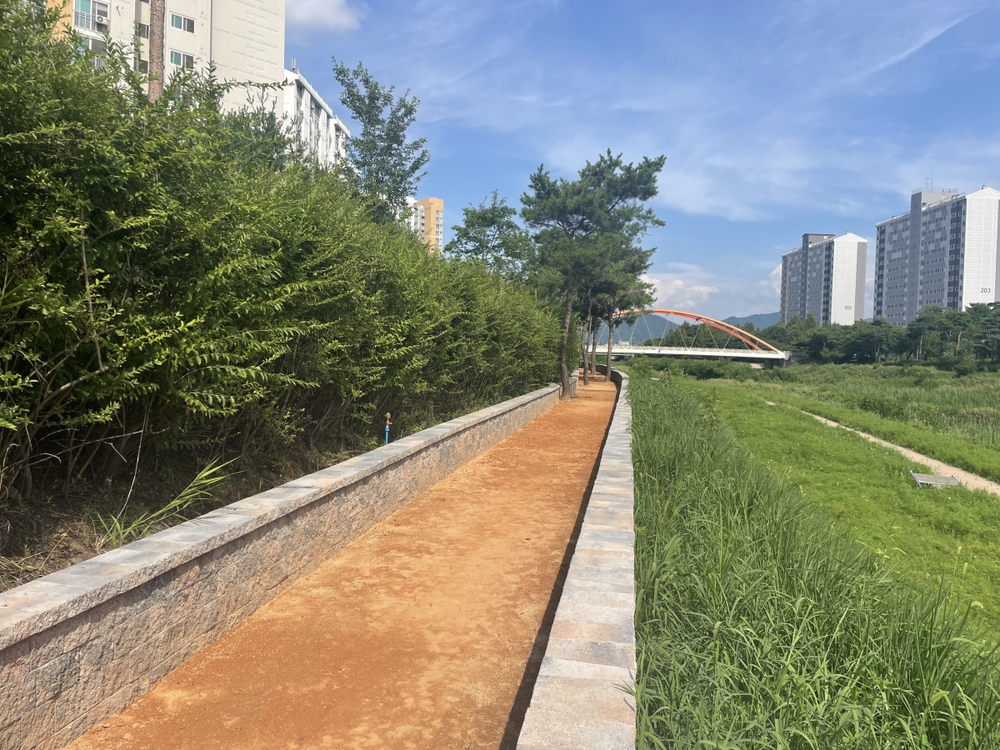 제천시, 장평천 일원 맨발걷기 황톳길 개장식 개최!