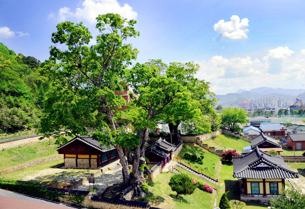 홍천향교 20년 기록, 사진으로 되살리다
사진가 차재철 사진전 ‘홍천향교의 문화유산전’ 홍천미술관서 개최