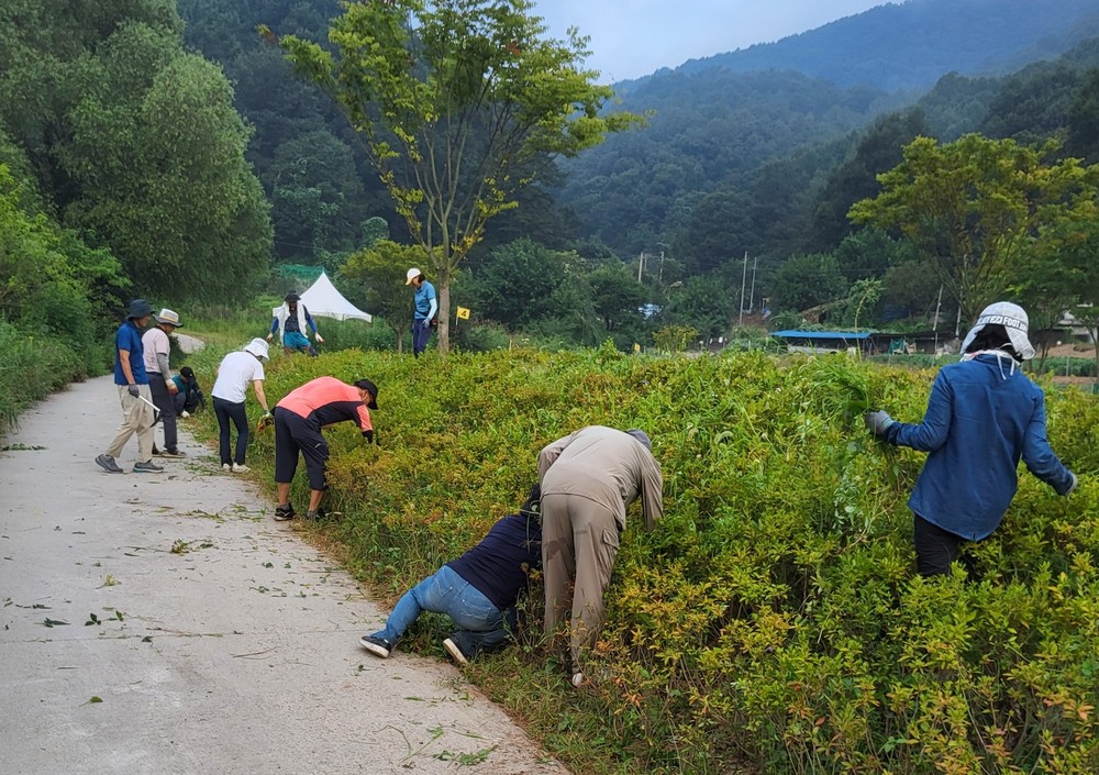 제천시 파크골프협회, 청풍호 파크골프장 환경정비 실시