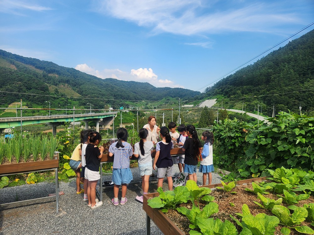 농업에서 찾는 치유! 괴산군, 아동대상 농촌치유 프로그램 운영
