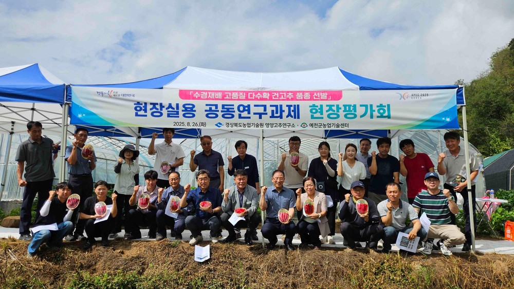 예천군, 수경재배 건고추 품종 선발 공동연구 중간진도관리 실시