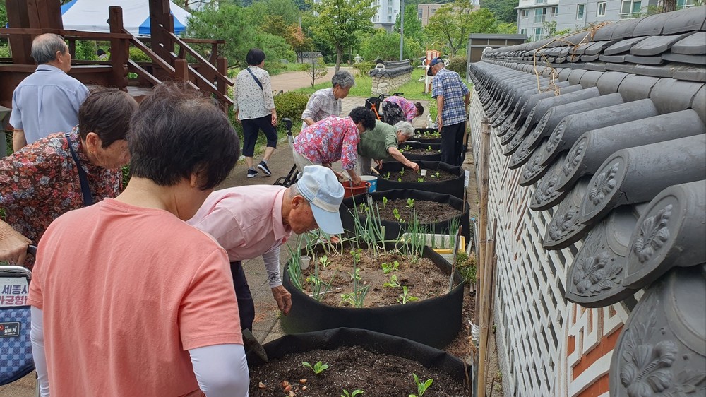 도심 속 실버텃밭에서 건강한 취미 즐겨요
