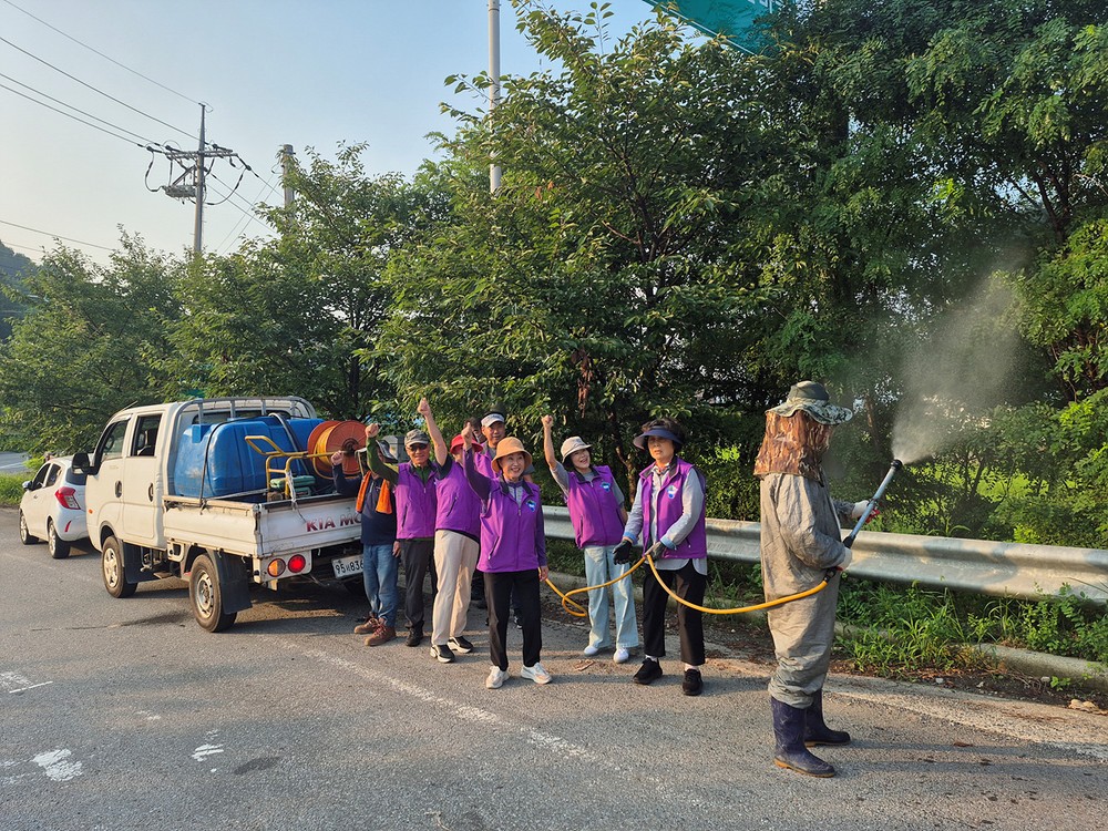 묘도동 주민자치위원회, 가로수·백일홍 나무 병충해 예방 방재 실시