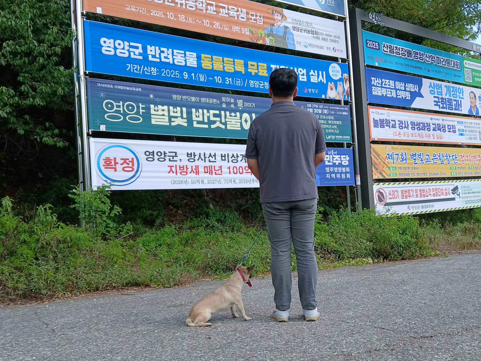 영양군, 9~10월 두 달간 ‘반려동물 무료등록사업’ 추진
