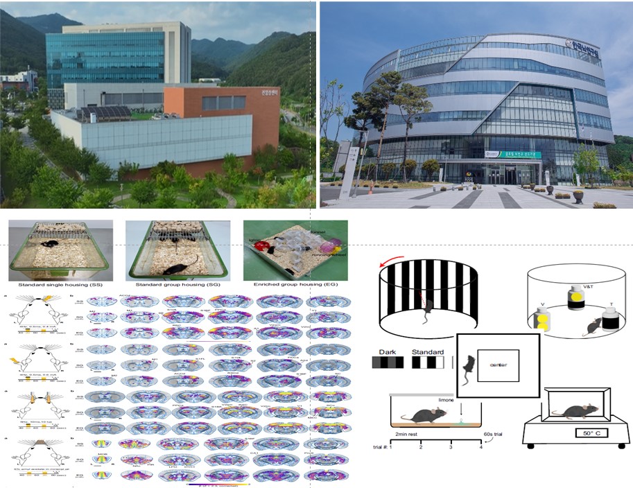 케이메디허브-한국뇌연구원, 전임상 연구 인프라 국제적 연구발전에 기여
