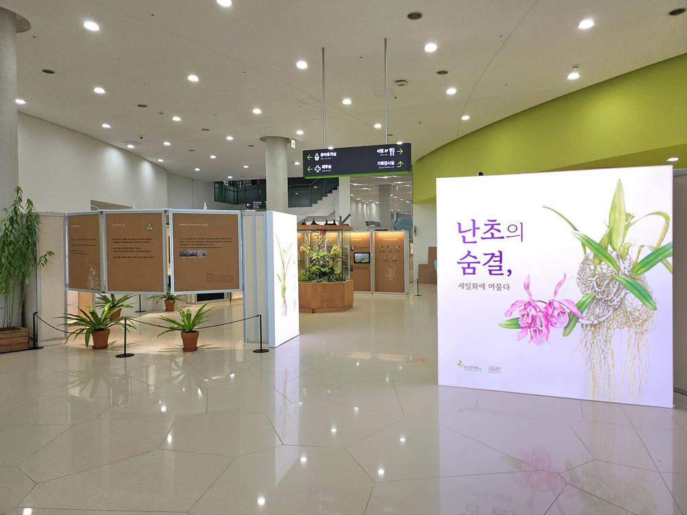 국립대구과학관, ‘난초의 숨결, 세밀화에 머물다’ 팝업전 개최