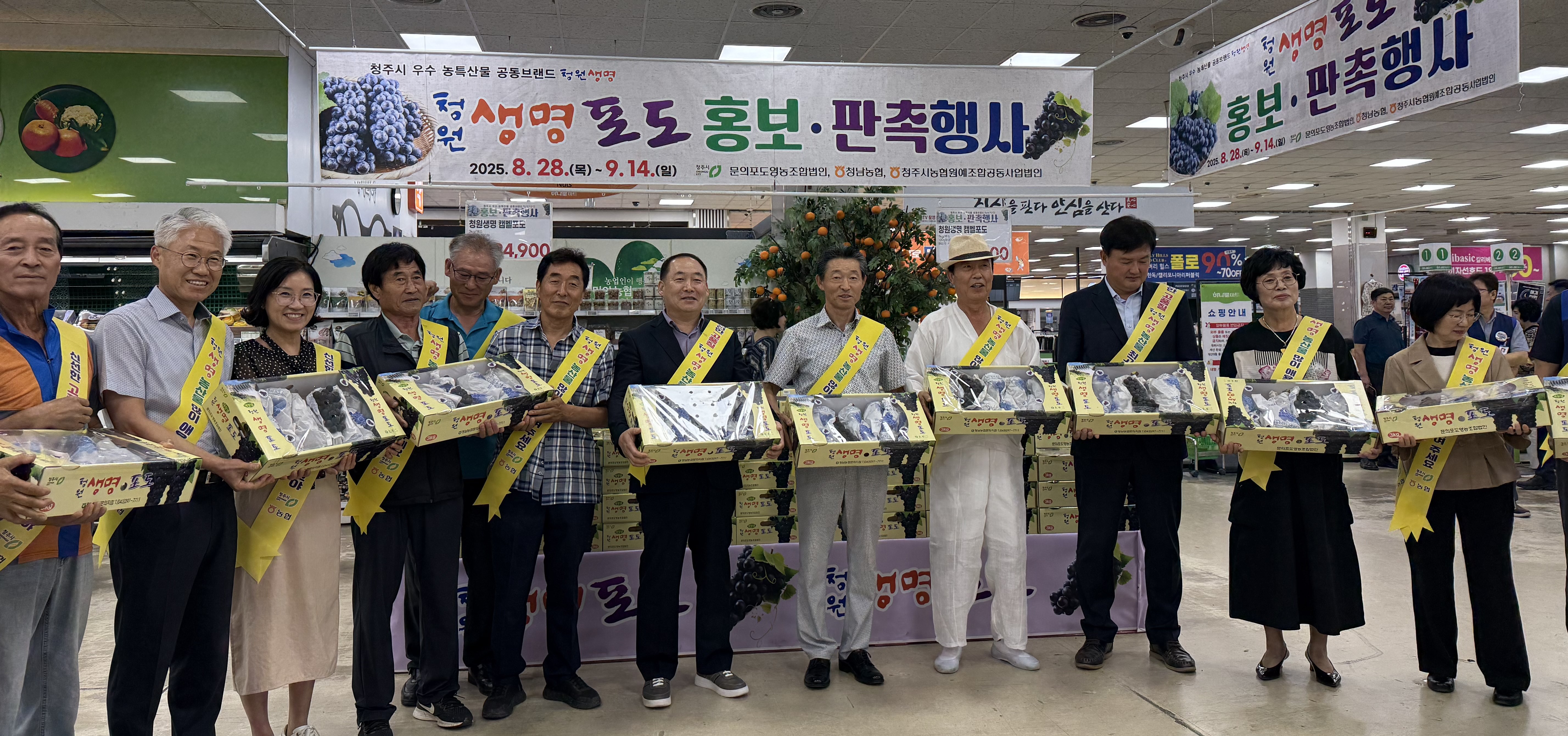 청원생명포도 출하! 청주시, 홍보 행사 진행
