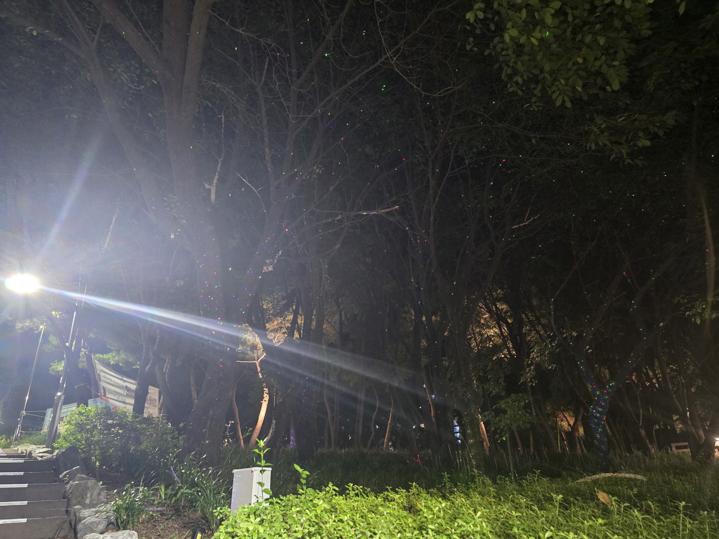 정왕4동, ‘빛의 산책로’ 반딧불 조명 새롭게 밝혀