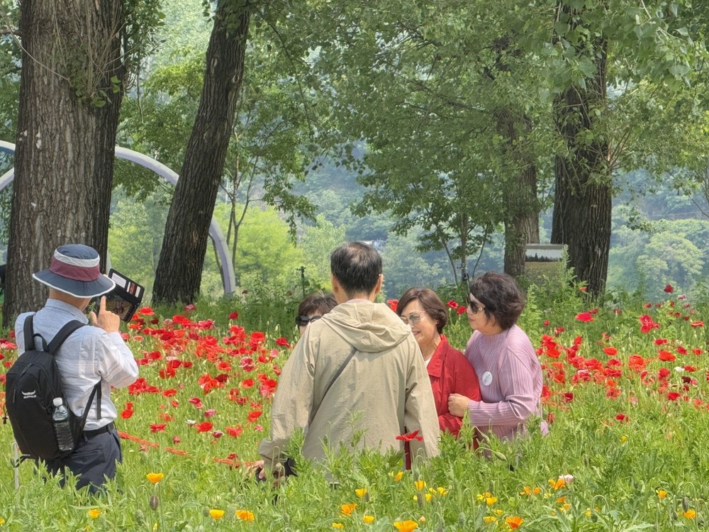 가평군, 철도관광상품 ‘순항’… 다양한 테마 ‘인기’