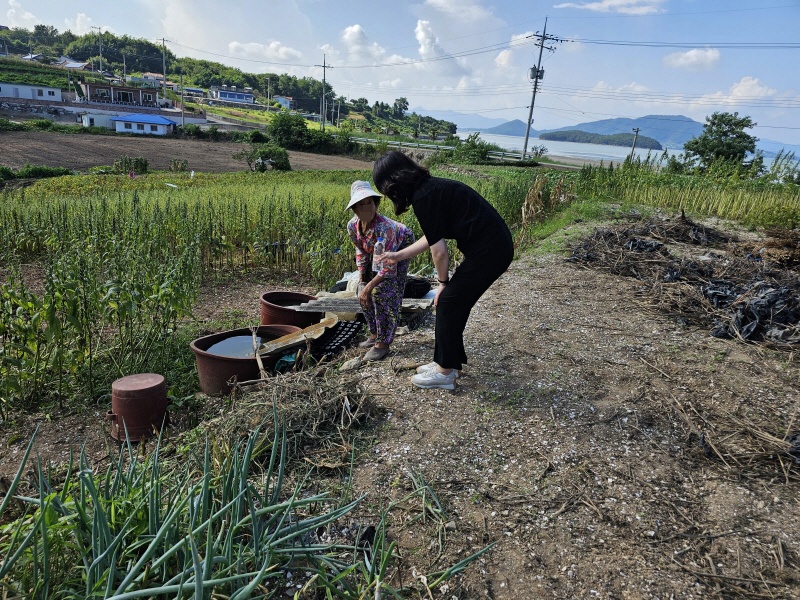 고흥군, 막바지 폭염 대응 총력
수확철 맞아 영농분야 폭염대응 집중관리 강화
