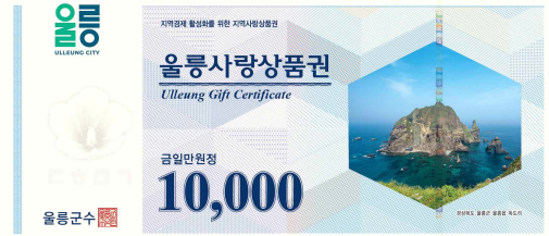 2025년 인구감소지역 시장·군수·구청장 정책간담회 참석
