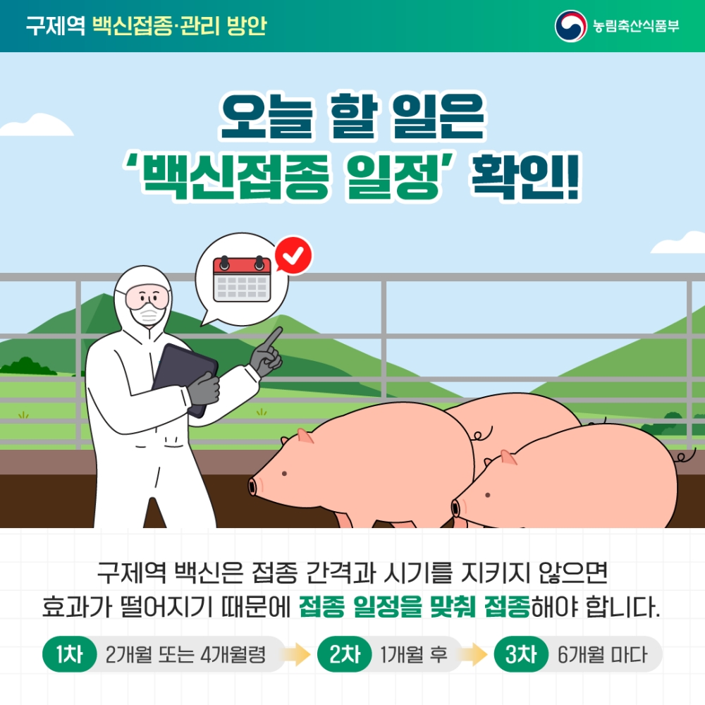 파주시, 9월 한 달간 소·염소 구제역 백신 일제접종 실시