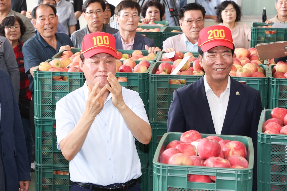 경상남도, 거창 홍로사과 초매식 개최 본격 출하 시작