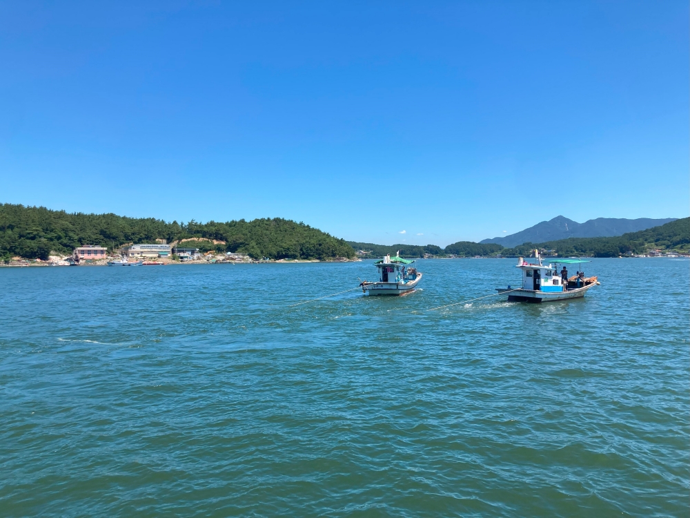 경남도, 해파리 구제 예산 추가확보로 피해 총력 대응!!