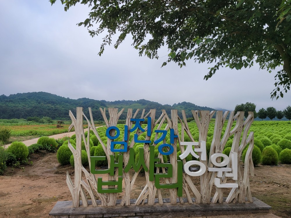 연천군, 중면 임진강 댑싸리 정원 개장