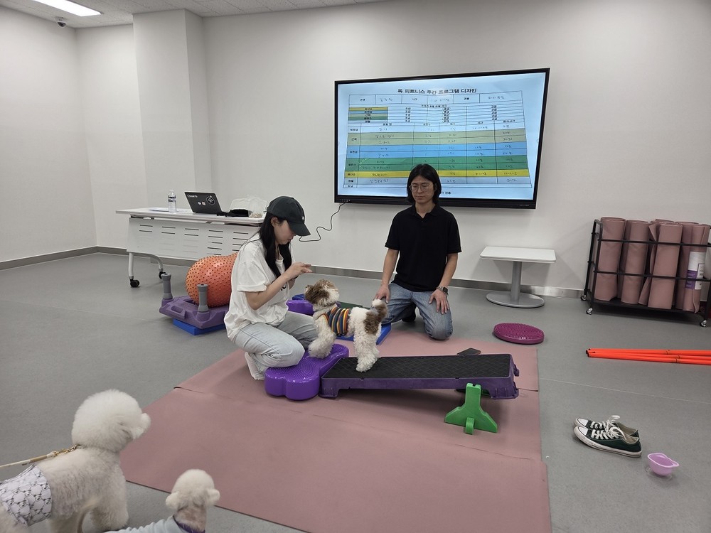 순천시 반려동물문화센터, ‘멍냥시민학교’ 3학기 수강생 모집