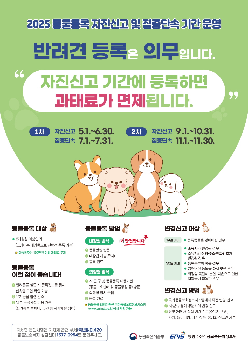 포항시, 9~10월 반려견 ‘동물등록 자진신고 기간’ 운영