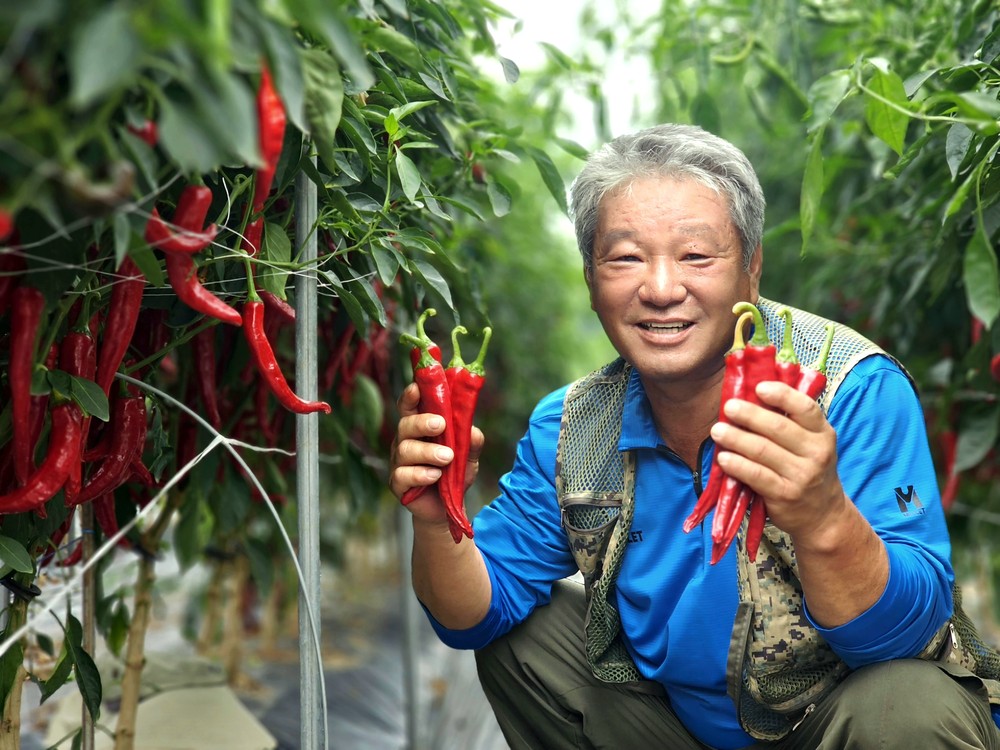 괴산청결고추 품평회 대상, 장연면 김종복 농가 수상