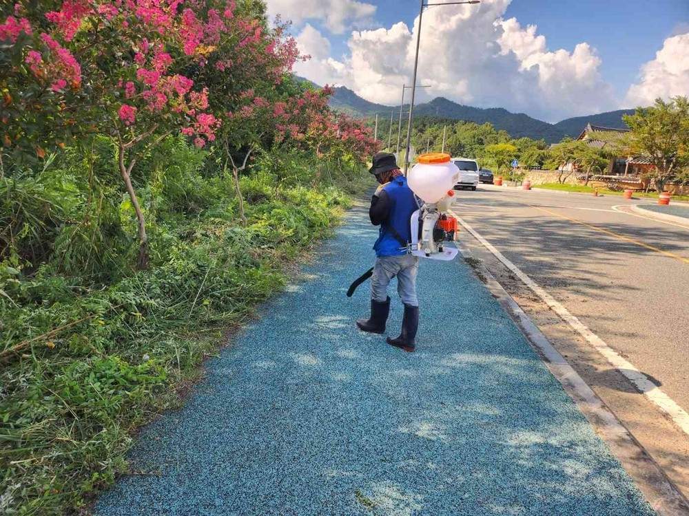 강진군, 여름철 도시미관 집중 정비