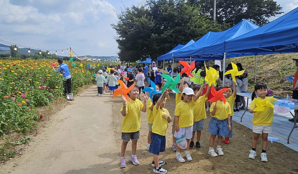 일죽면주민자치위원회, 청미천 백일홍 꽃밭 관람 행사 가져