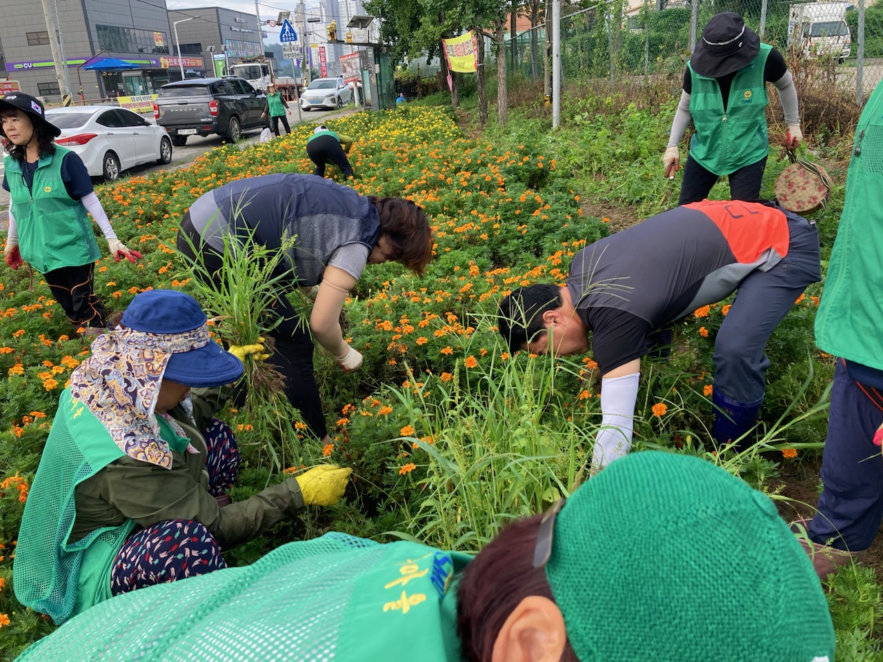 백사면, 꽃길 가꾸기 및 국토 대청소 실시