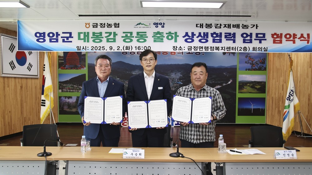 영암군, 대봉감 수매 장려금 지원 나선다