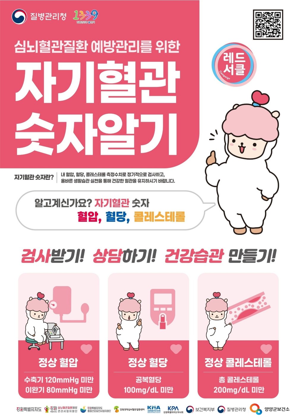 양양군, 자기혈관 숫자알기 레드서클 캠페인 실시