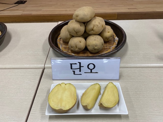 괴산군, 신품종 감자 ‘단오’ 공급 신청 접수