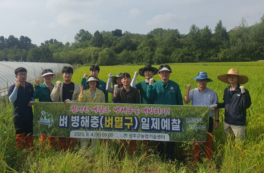 성주군, 벼멸구 일제예찰 실시