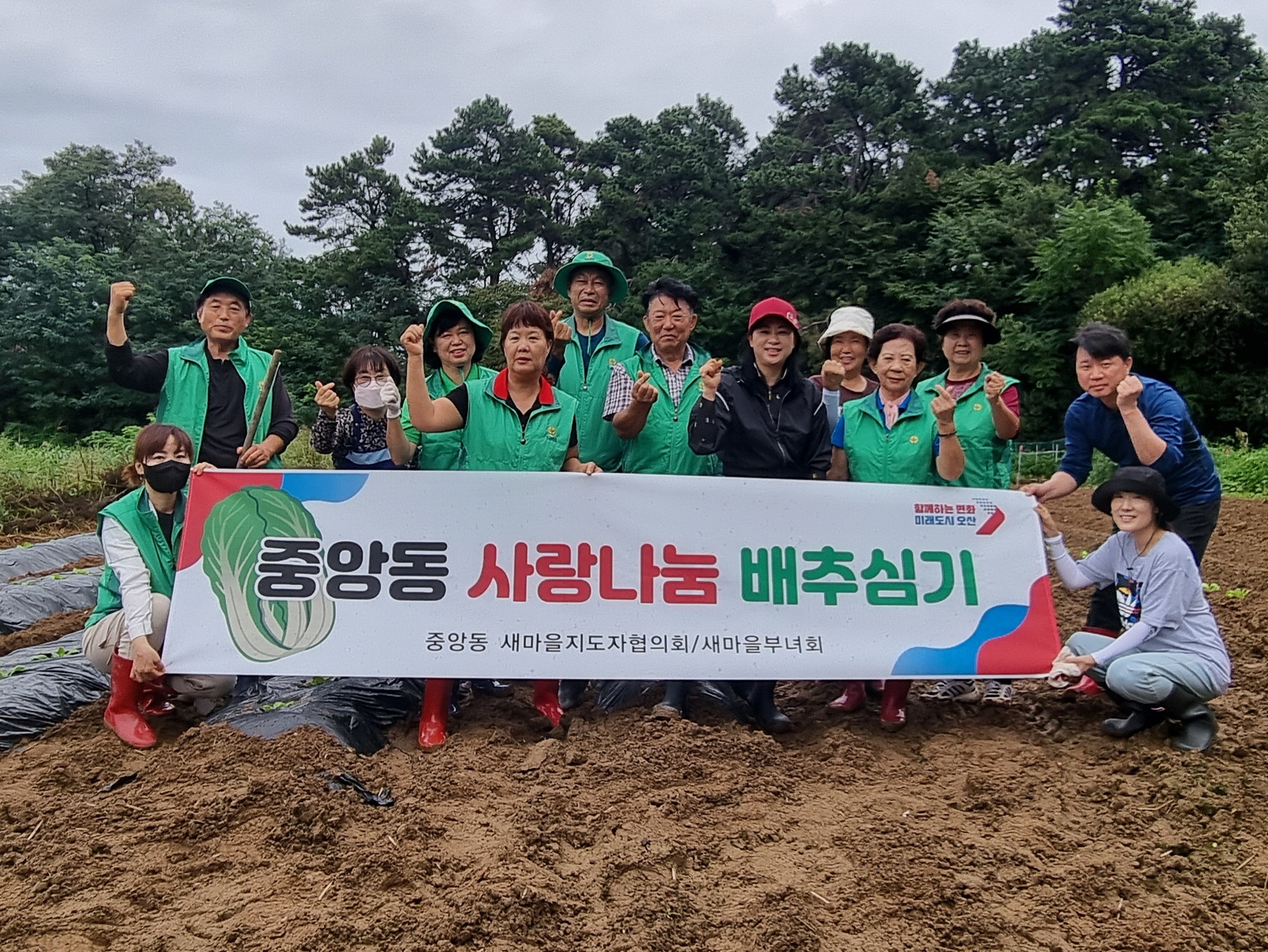 오산시 중앙동, 사랑의 배추심기 행사 개최