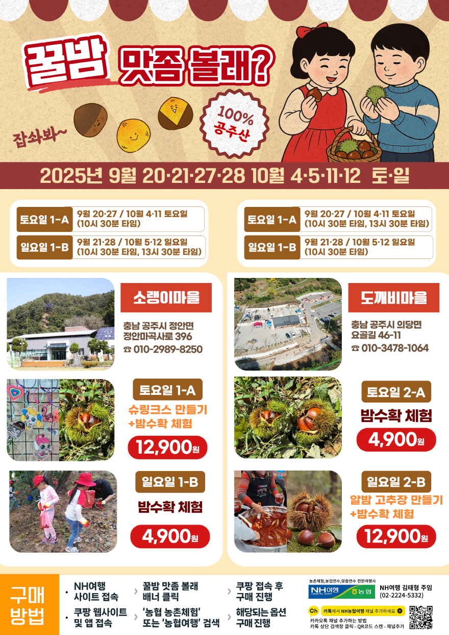 공주시, 농협네트웍스와 함께하는 공주 밤 줍기 체험 프로그램 운영