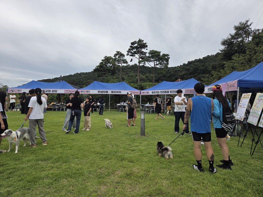 김포시, ‘놀멍! 쉬멍! in 태산패밀리파크 반려견 놀이터’ 성황리 개최