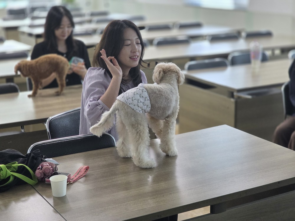 영덕군가족센터, 또 하나의 가족인 반려견과 유대감 높여