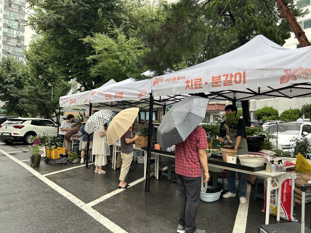 도봉구, ‘찾아가는 반려식물 클리닉’ 운영