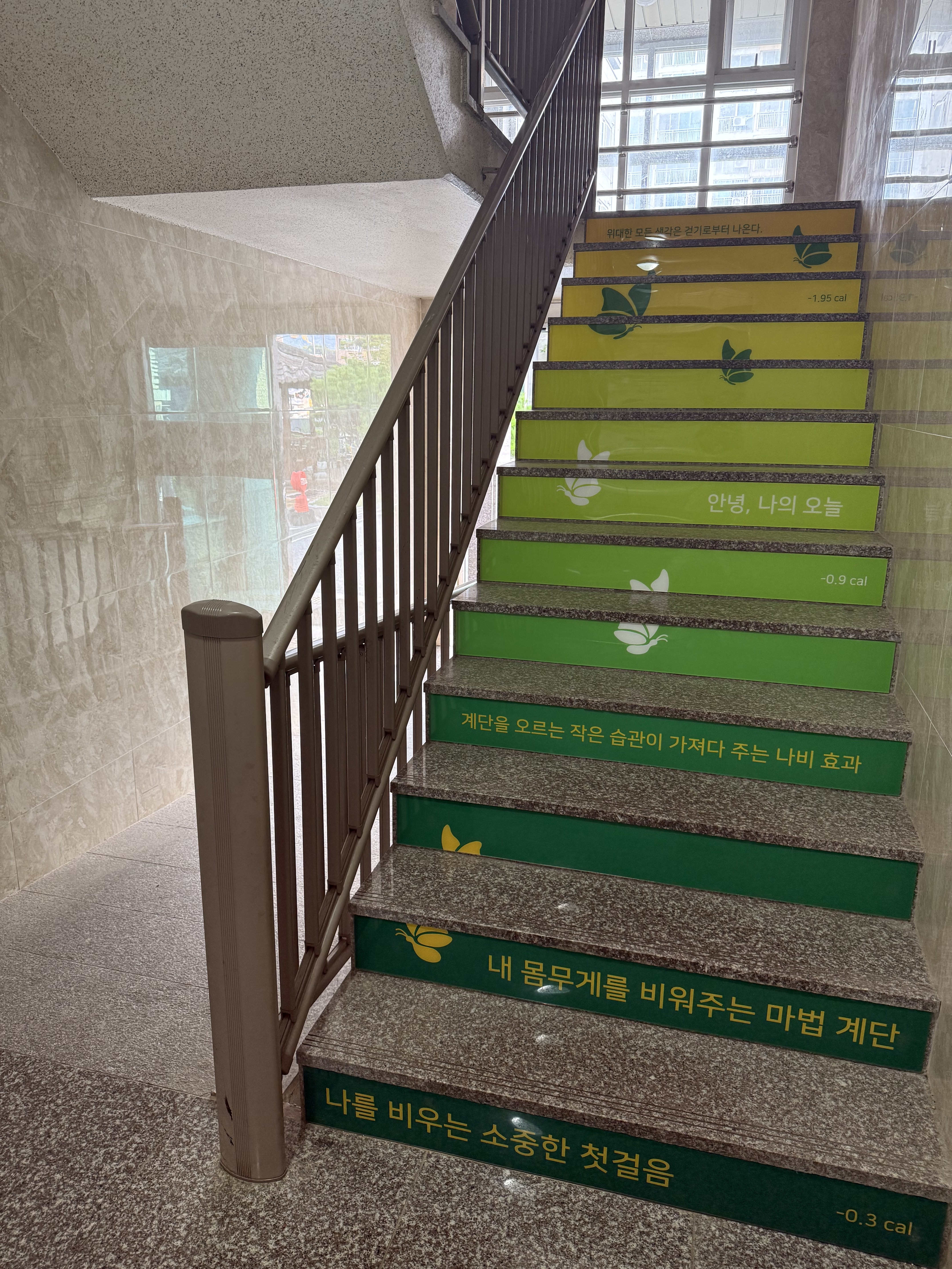 함평군, 생활 속 운동 실천 위한 ‘건강계단’ 조성
