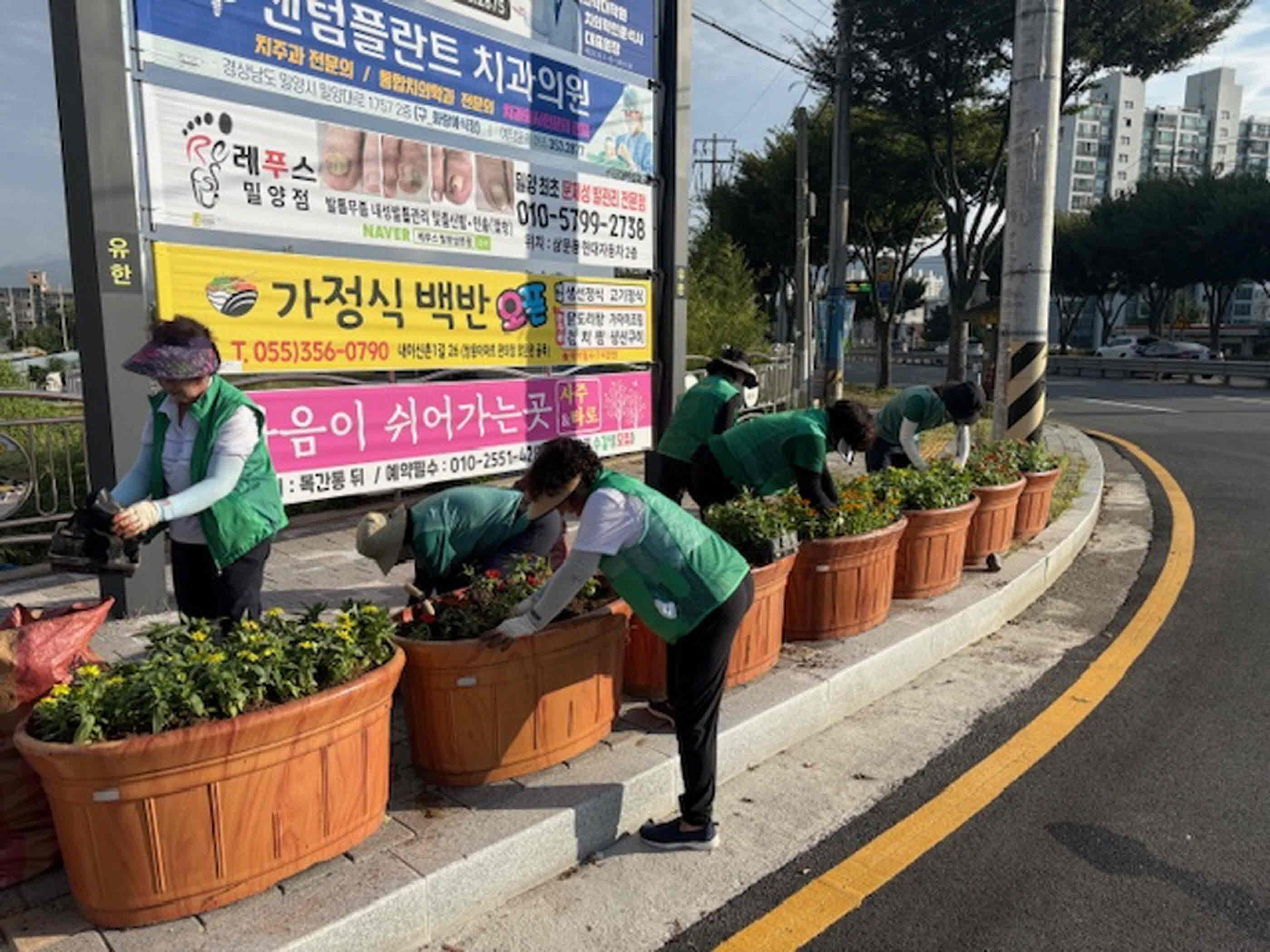 밀양시 삼문동, 가을향기 가득 다채로운 색으로 물들다