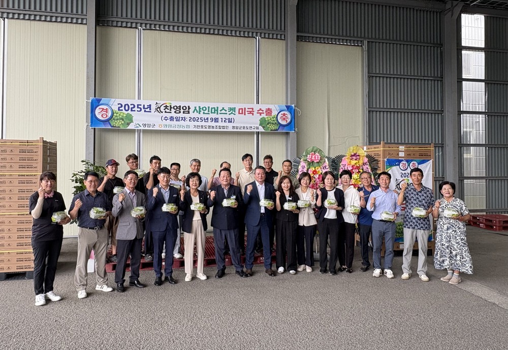영암 샤인머스켓, 6.5톤 미국 첫 수출