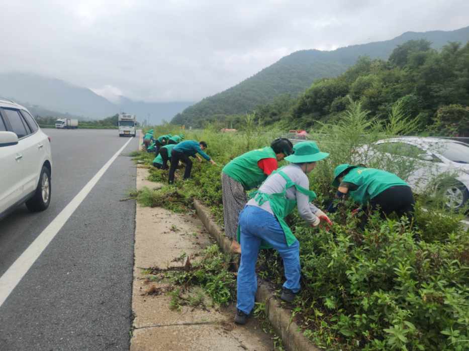 산내면 새마을부녀회, 환경정비 활동 실시