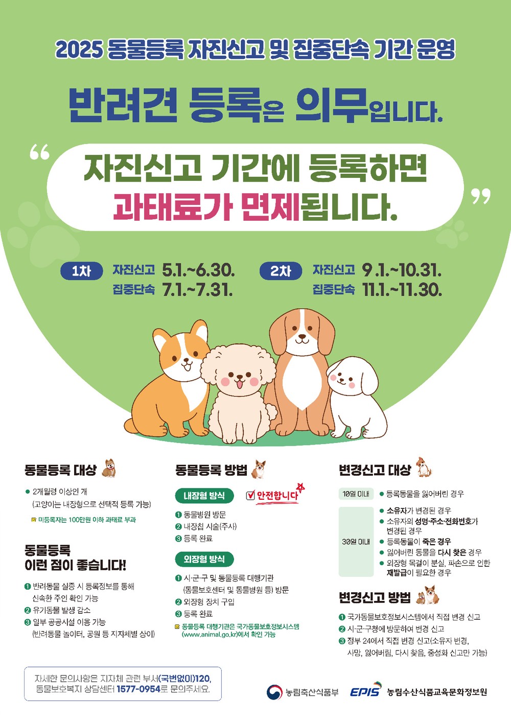 광양시, 10월 말까지 ‘동물등록 자진신고 기간’ 운영