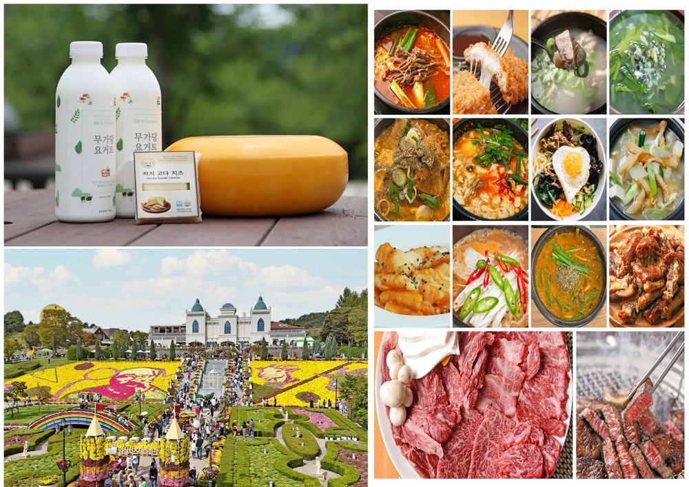 임실N치즈축제의 특별한 맛…저지종 숙성치즈‘천하일미’