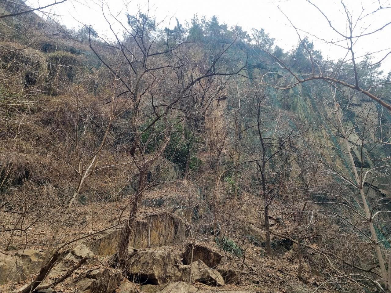 서대문구 산사태취약지역 및 급경사지 피해 예방 만전