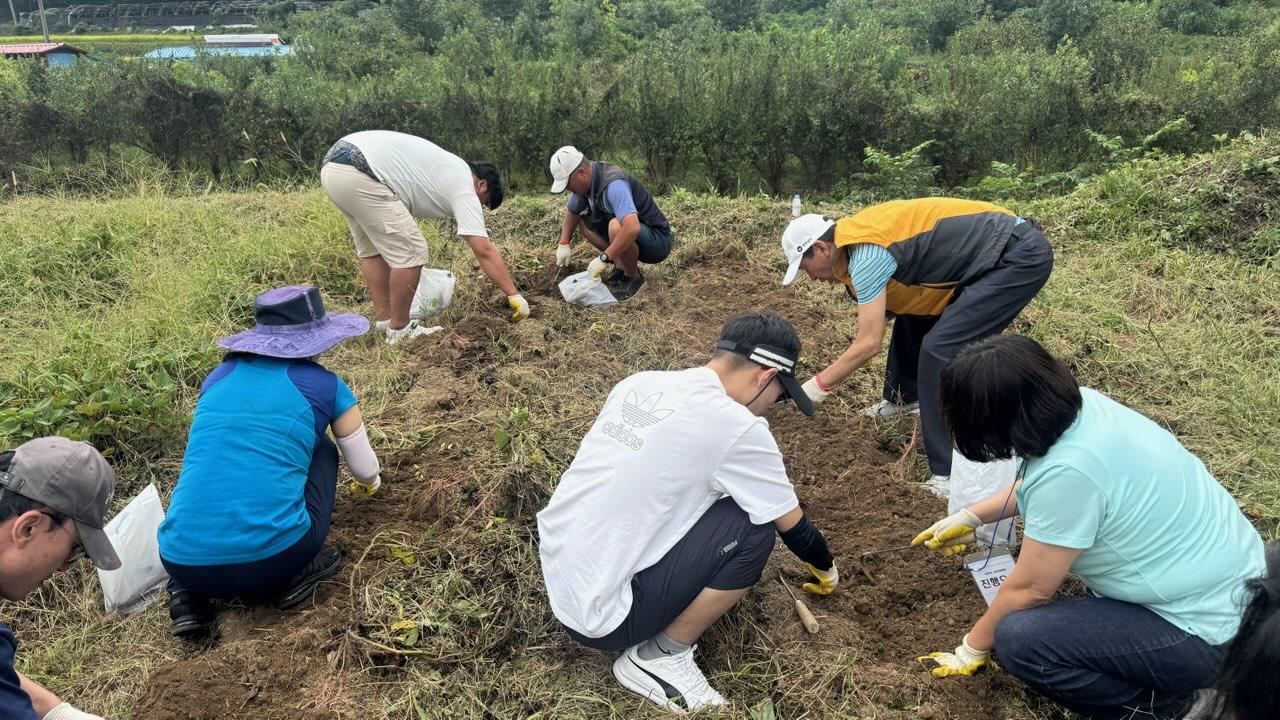 거제시정신건강복지센터, 숲과 밭에서 활력을 찾다