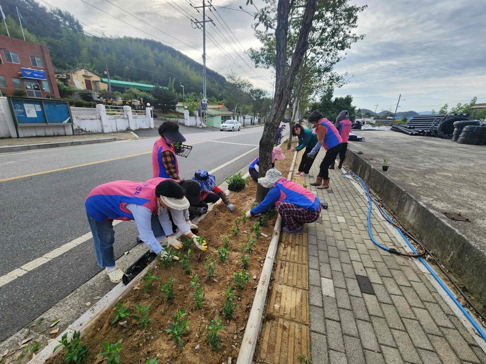 밀양시 초동면, 추석 맞이 꽃길 조성
