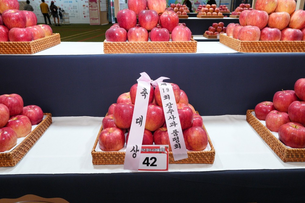 제19회 장수한우랑사과랑축제 장수사과품평회 성료